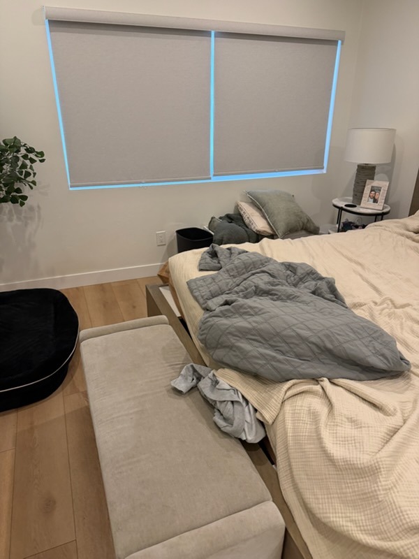 Scripps Ranch master bedroom before professional deep cleaning showing unmade bed and dusty surfaces